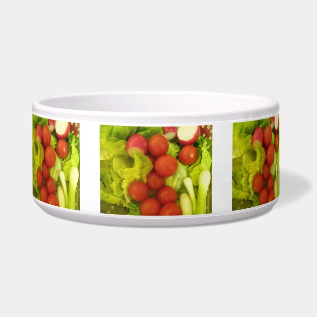Comedero Salada Verduras Tazón de perro (Frente)