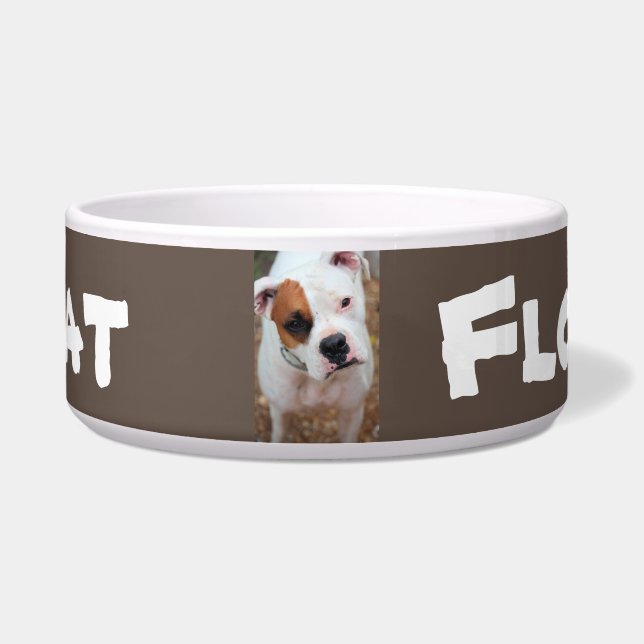 Comedero Salto (Frente)