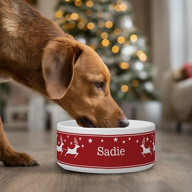 Comedero Santa Sleigh Rojo Y Blanco Y Mascota De Navidades  (Subido por el creador)