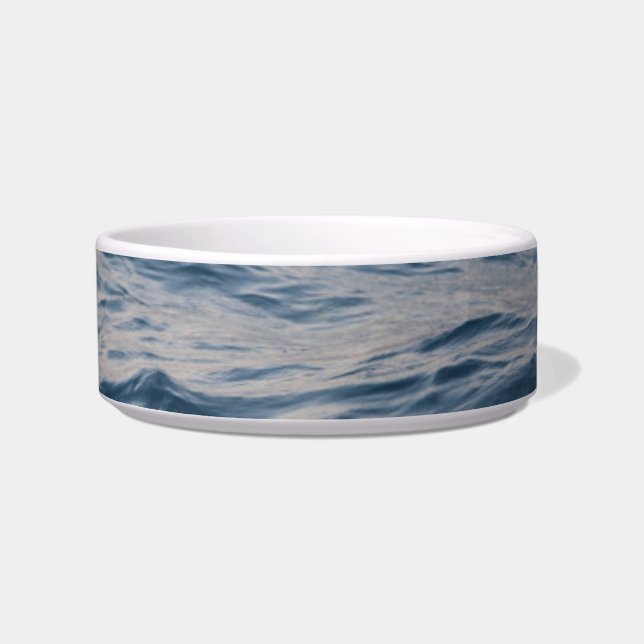 Comedero Sea water closeup  (Frente)