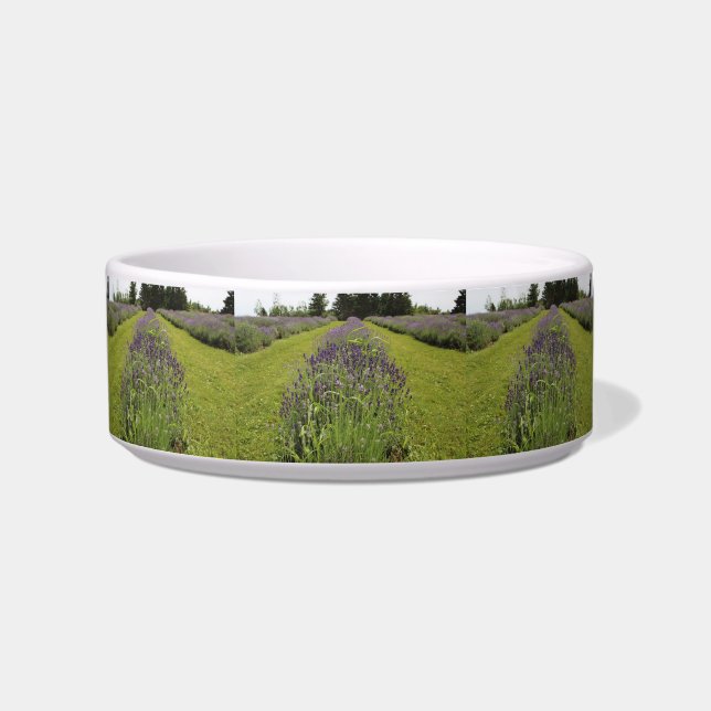 Comedero Seafoam Lavender Farm Pet Bowl (Frente)