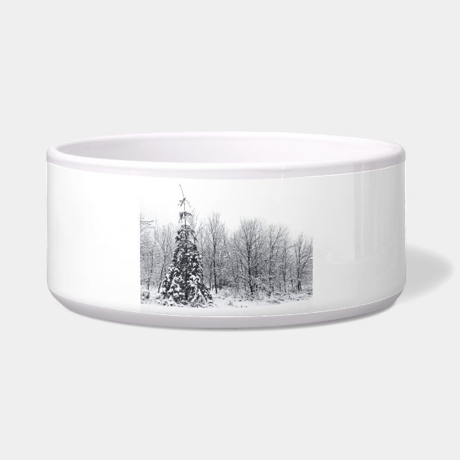 Comedero separación con certeza (Frente)