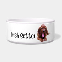 Setter irlandés - tazón de perro por raza