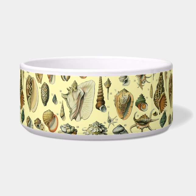 Comedero Shell de conchas marinas Mollusk Clam Elegante Art (Frente)