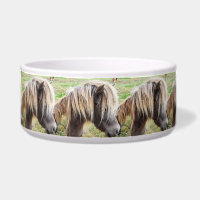 Shetland Pony de color bronceado,
