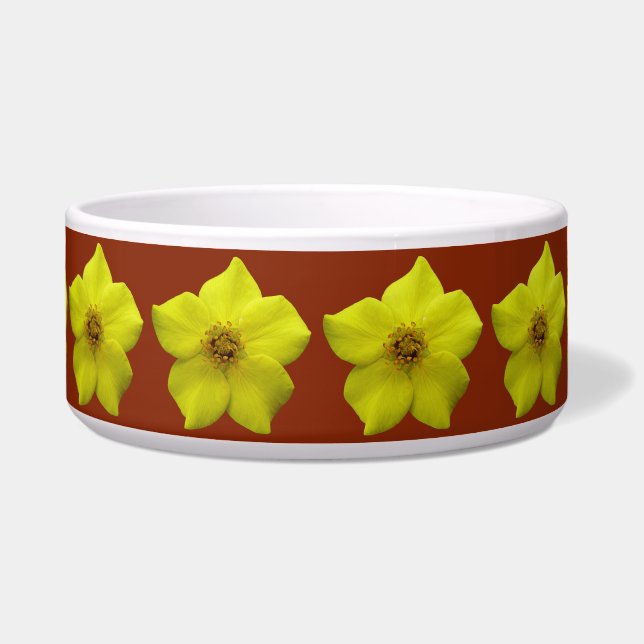 Comedero Shrubby Cinquefoil #1 (Frente)