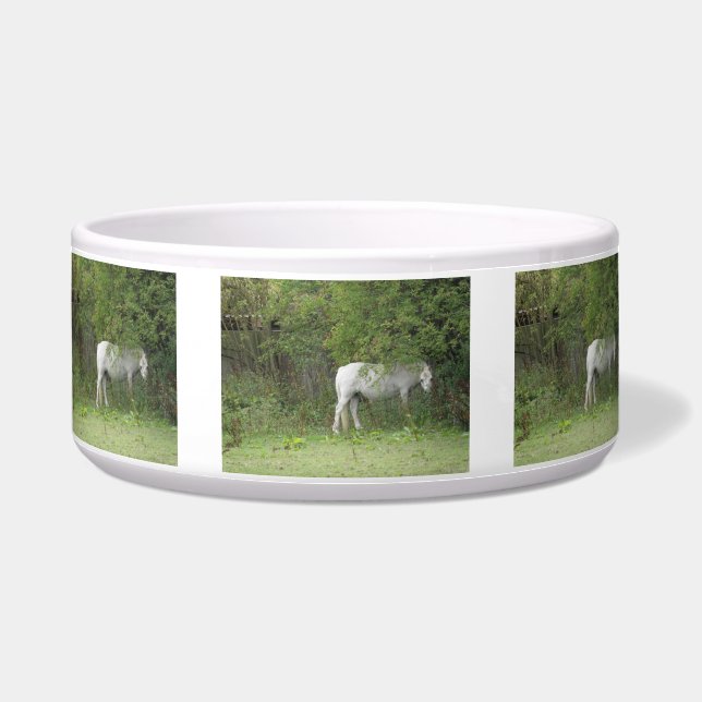 Comedero Shy White Horse Pet Bowl (Frente)