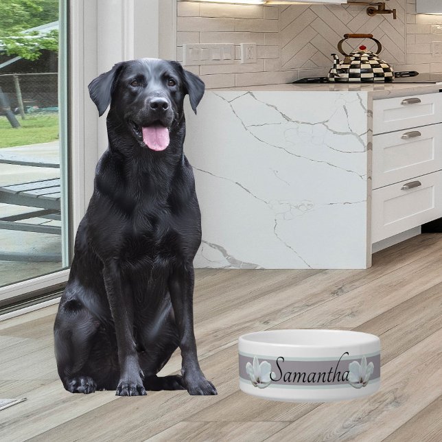 Comedero Simple tazón de mascota femenina suave con Magnoli (Subido por el creador)