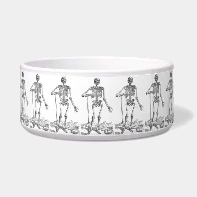 Comedero Skeleton Pet Bowl (Frente)