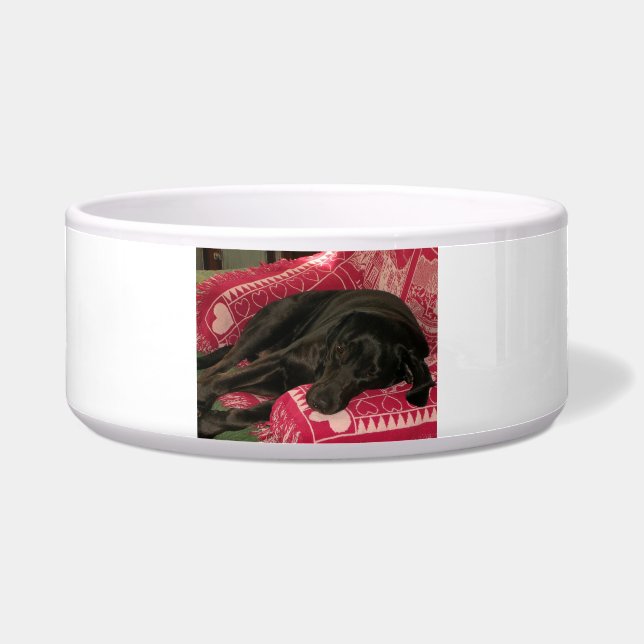 Comedero Sleepy Dog Pet Bowl (Frente)