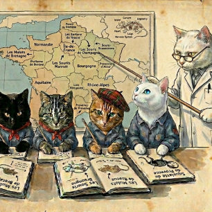 Comedero Sourisseries de France Experto Regional Ratón