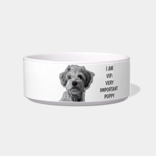 Comedero Soy un VIP: Muy Importante Cachorro, lindo perro