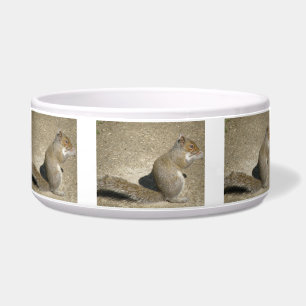 Comedero Squirrel Hungry Horatio Dog Bowl