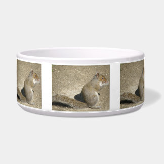 Comedero Squirrel Hungry Horatio Dog Bowl