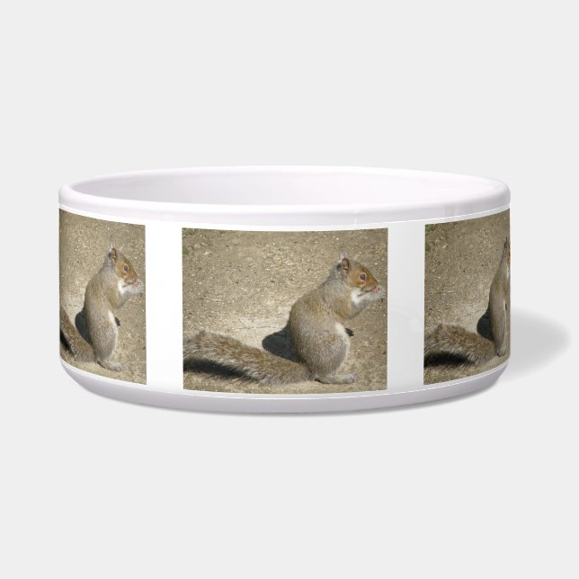 Comedero Squirrel Hungry Horatio Dog Bowl (Frente)