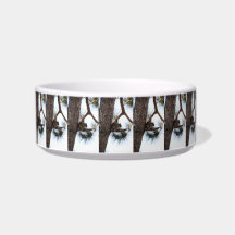 Squirrel in a Pine Tree Pet Bowl