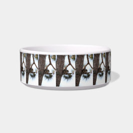 Comedero Squirrel in a Pine Tree Pet Bowl