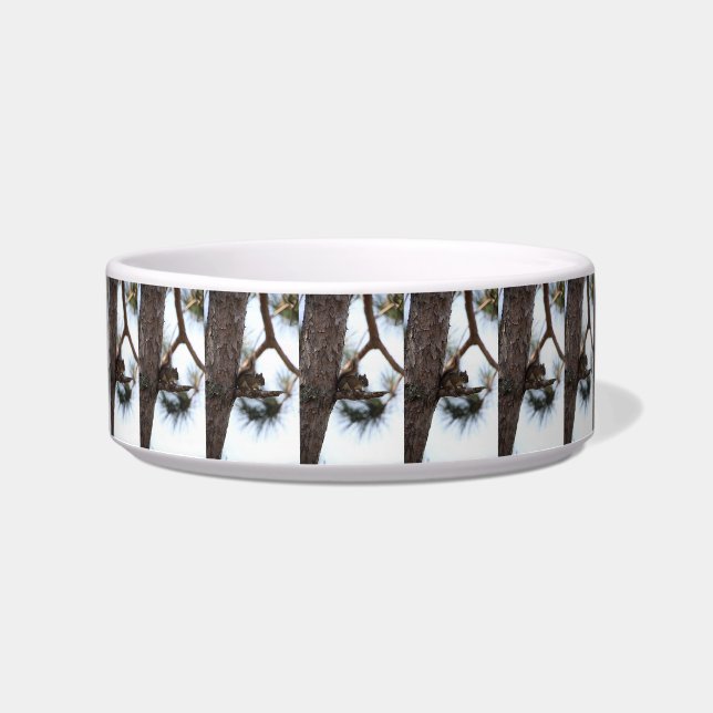 Comedero Squirrel in a Pine Tree Pet Bowl (Frente)
