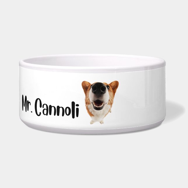 Comedero Sr. Cannoli - tazón personalizado para perros (Frente)