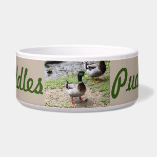 Comedero Sr. Duck