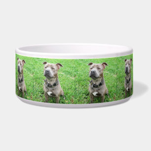 Comedero Staffordshire Bull Terrier Atento, 
