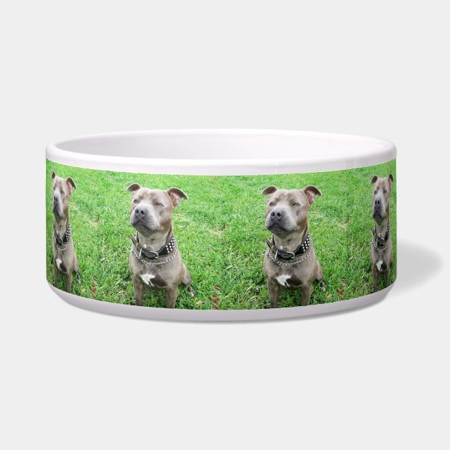 Comedero Staffordshire Bull Terrier Atento,  (Frente)