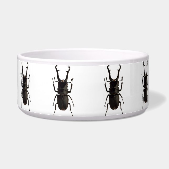 Comedero Stag Beetle (Izquierda)