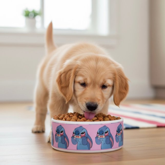 Comedero Stitch Bowl (Subido por el creador)