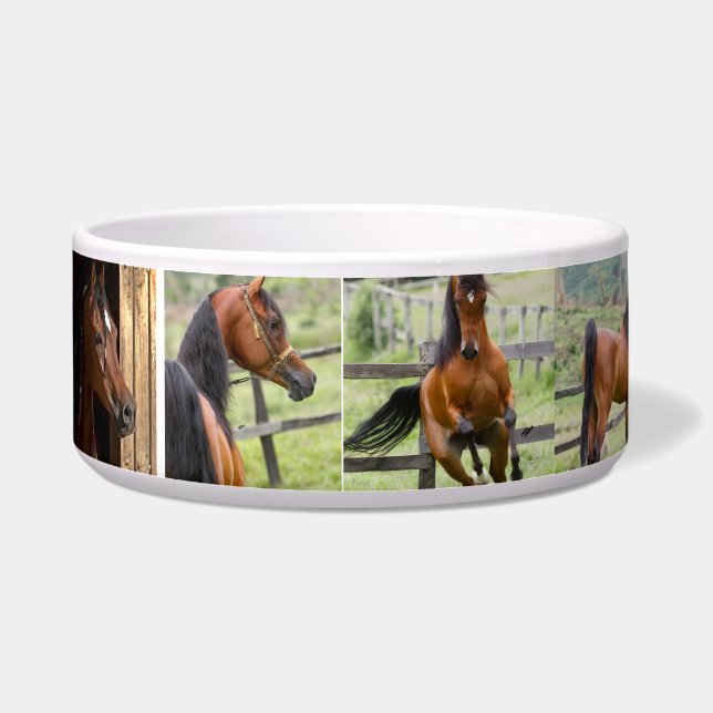 Comedero Strength, Courage and Power (Izquierda)