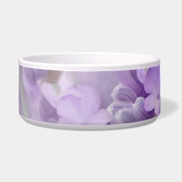 Comedero Sueños de la lavanda