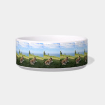 Suka Disfrutando del Cape George Pet Bowl