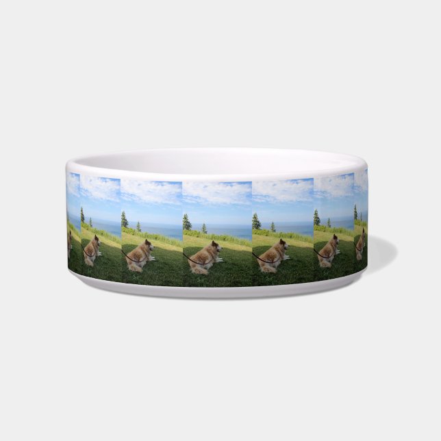 Comedero Suka Disfrutando del Cape George Pet Bowl (Frente)