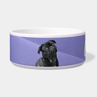 Comedero Suministros de perros
