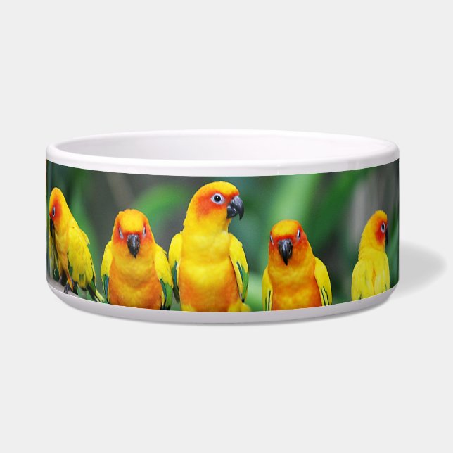 Comedero Sun Conures (Derecha)