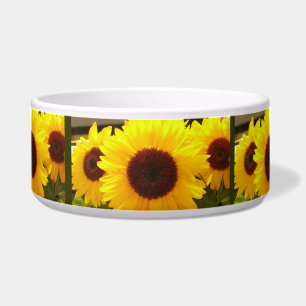 Comedero Sunflowers Pet Bowl