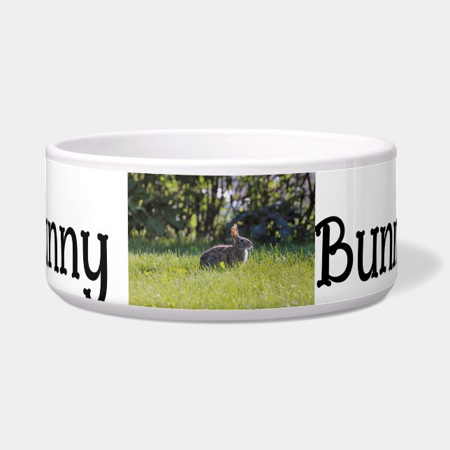 Comedero Sunny Bunny (Frente)