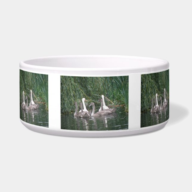 Comedero Swans y Cygnets Pet Bowl (Frente)