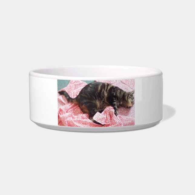 Comedero Tailor Dave Ceramic Pet Bowl (Frente)