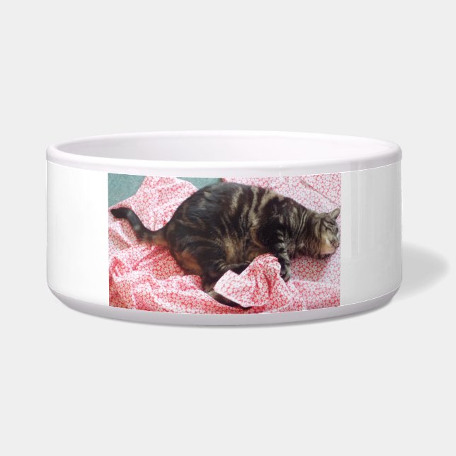 Comedero Tailor Dave Ceramic Pet Bowl (Frente)