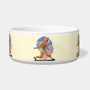 Comedero Talud del béisbol