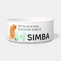 Tazón cerámico para mascotas