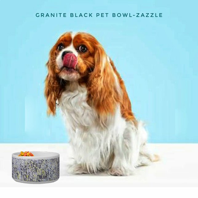 Comedero Tazón cerámico para mascotas (Subido por el creador)