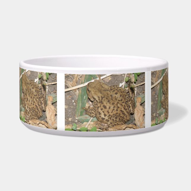 Comedero Tazón común europeo para la toad (Izquierda)