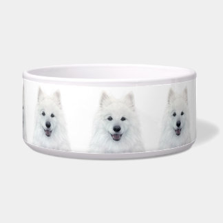 Comedero Tazón de cerámica de perro samoyed de miart