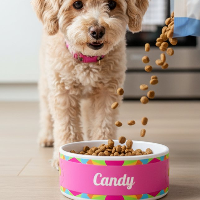 Comedero Tazón de cerámica geométrico retro colorido modern (Designed for tail wags and happy chomps. Spoil your pet toady, she will love you for it.)