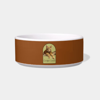 Comedero Tazón de cerámica marrón silla de montar para masc