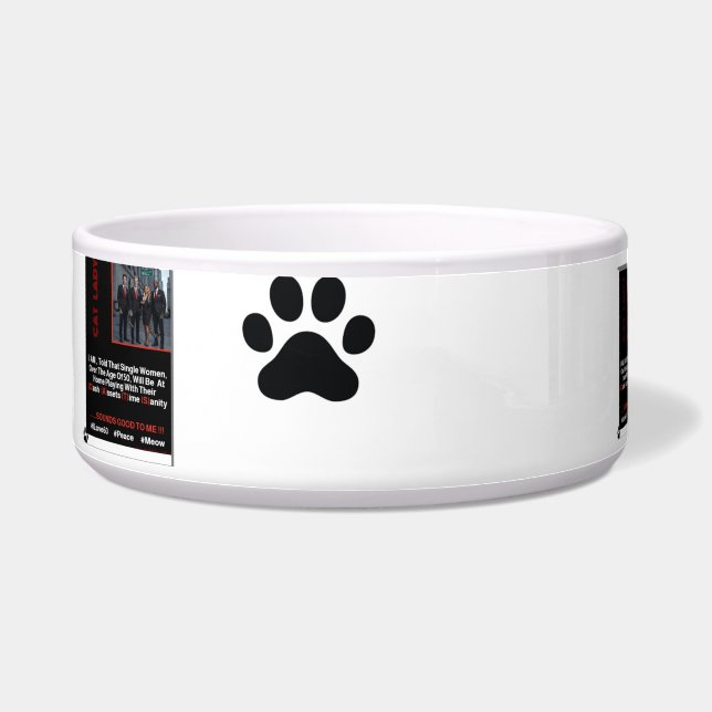 Comedero Tazón de cerámica para mascotas (Izquierda)
