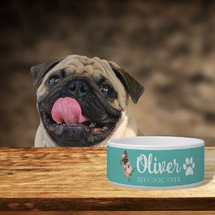Comedero Tazón de cerámica para mascotas Pug