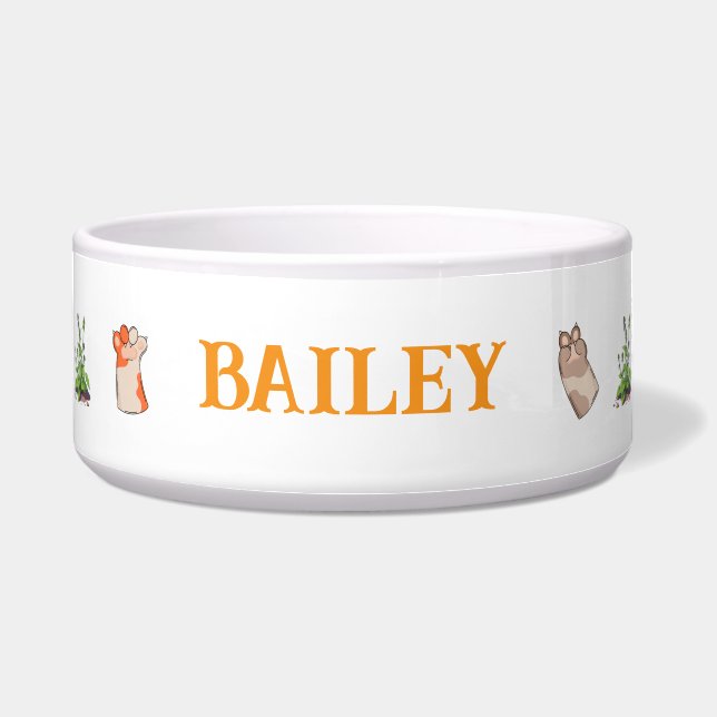 Comedero Tazón de cerámica para patas de gato (Frente)