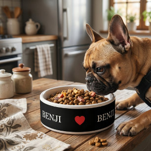 Comedero Tazón de cerámica personalizado para mascotas con 